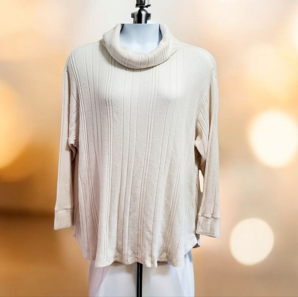 Caslon Ivory Long Sleeve Ribbed Turtleneck Sweater size 2X